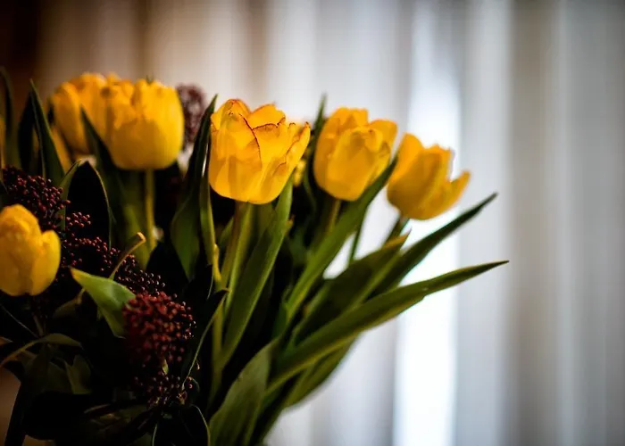 Donneralm Neustift im Stubaital